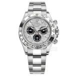 Rolex Daytona 116519 Meteorite Watch