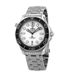 Omega Seamaster 210.30.42.20.04.001 Replica