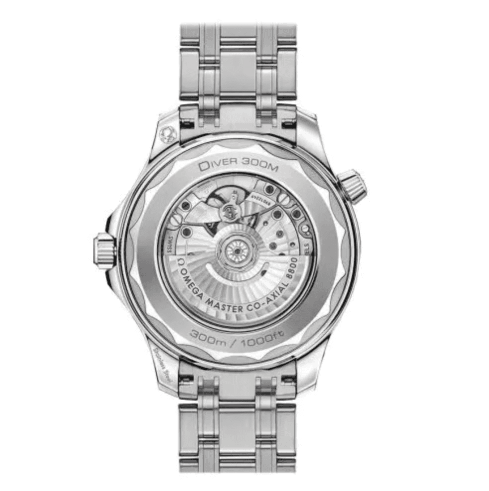 Screenshot 2025-05-15 at 11.27.03 AM Omega Seamaster 210.30.42.20.04.001 Replica