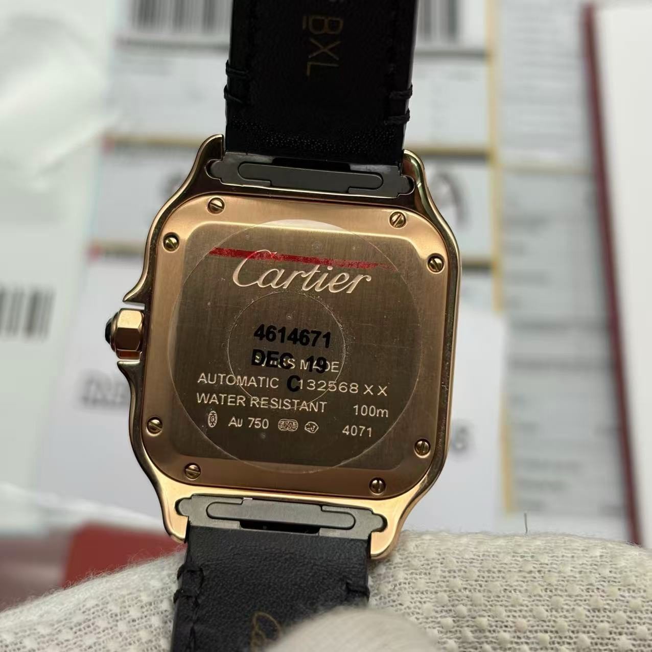 e1970cc18abf476981243324f8e0b050 Replica Cartier Santos WGSA0012 Watch - Image 10