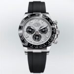 Rolex Daytona Meteorite Dial Watch